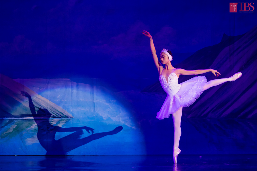 Teatrul de Balet Sibiu is Seeking for Classically Trained Male and Female Dancers