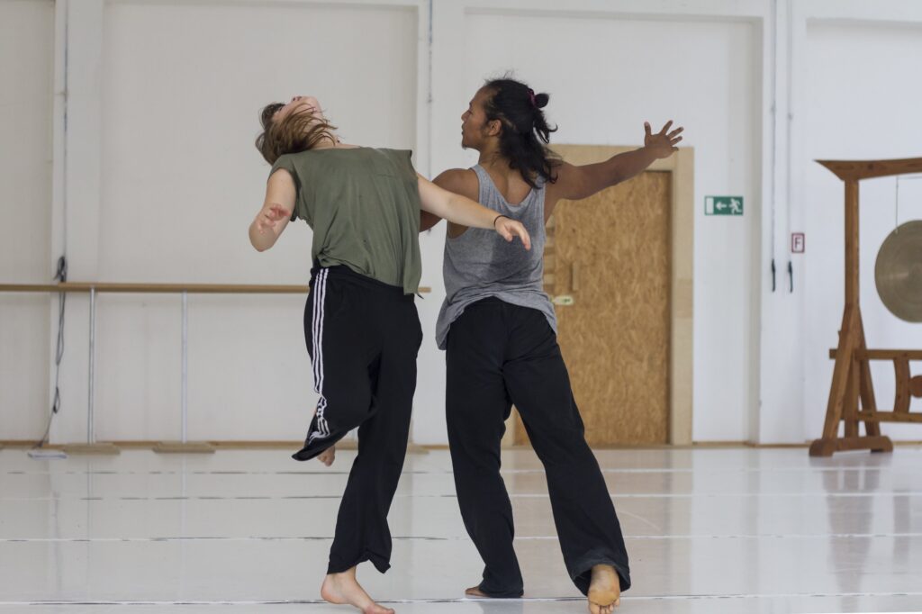 SOZO - Foundation Course - intensive dance training