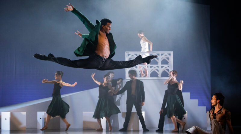 Teatrul de Balet Sibiu is Seeking for Classically Trained Male Dancers