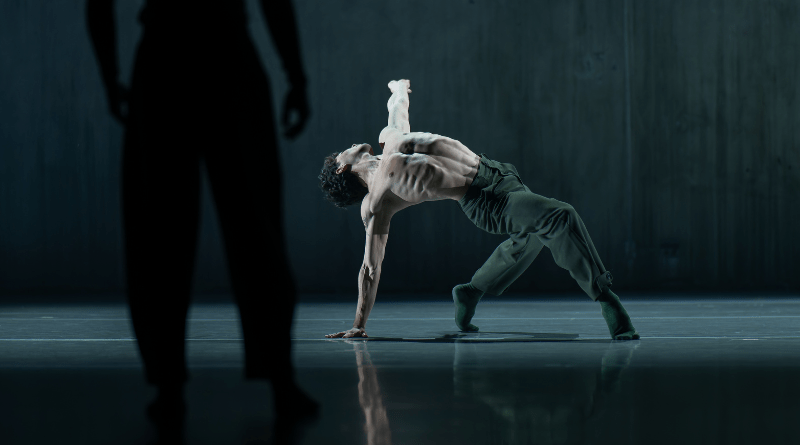 Whim W'Him Summer Intensives