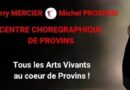 Centre Chorégraphique de Provins (CCDP) Professional Dance Program