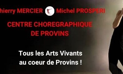 Centre Chorégraphique de Provins (CCDP) Professional Dance Program