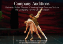 Palmetto Ballet Theatre is Looking for Male Dancers