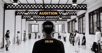 AREA DANSA professional training