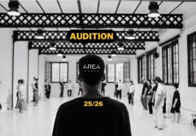 AREA DANSA professional training