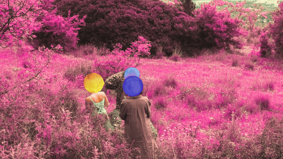 Somatic movement & Herbalism residential workshop at Lefkada island, Greece